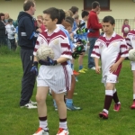 kerry-trop-072