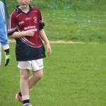 kerry-trop-085